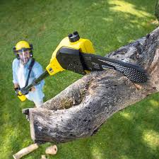 Best Lawn Mowing  in Bridgeport, TX